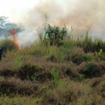 Kebakaran Lahan di Wilayah Kecamatan Cisayong Berhasi Dipadamkan