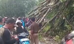 WhatsApp Image 2026-04-08 at 03.20.25