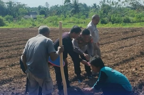 Polres Ciamis Tanam Jagung Bersama Kelompok Tani Binaan